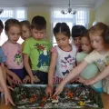 Нод «весна в лісі»