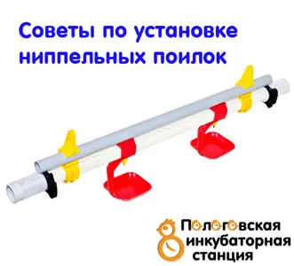 Ніпельні поїлки - поради по установці (ніпельні) Ніпельні поїлки - поради по установці