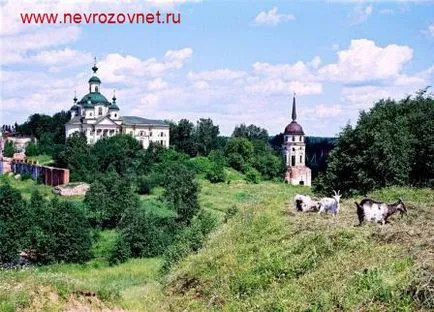 Невротична особистість, психотерапія неврозів (невротична особистість) Невротична особистість, психотерапія неврозів