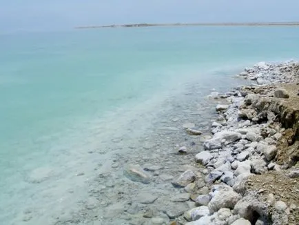 Новини чому мертве море назвали мертвим свіжі новини України та світу (дивно) Новини чому мертве море назвали мертвим свіжі новини України та світу