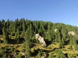 Пам'ятки Алматинської області, казахстан з фото, на карті (пам'ятки Алматинської області) Пам'ятки Алматинської області, казахстан з фото, на карті