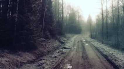 Щоденники радянських жінок замітки про кохання (новини про жінок.) Щоденники радянських жінок замітки про кохання