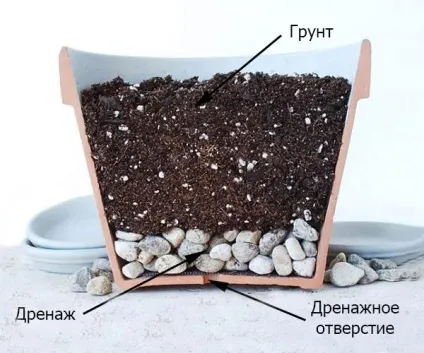 Дренаж для квітів і кімнатних рослин що це таке, різновиди (дренаж) Дренаж для квітів і кімнатних рослин що це таке, різновиди