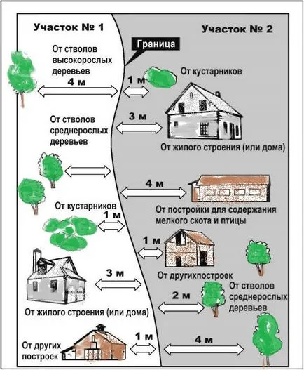 Зразок заяви до суду про затіненні ділянки сусідським будовою або деревами (затінення ділянки деревами) Зразок заяви до суду про затіненні ділянки сусідським будовою або деревами