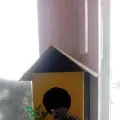Оформлення куточка природи в середній групі