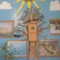 Оформлення куточка природи в середній групі