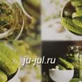 Огірки, мариновані з морквою, готуємо смачно (заливка) Огірки, мариновані з морквою, готуємо смачно