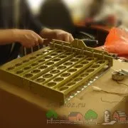 Огляд породи курей Мінорки повна характеристика і опис з фото (опис) Огляд породи курей Мінорки повна характеристика і опис з фото