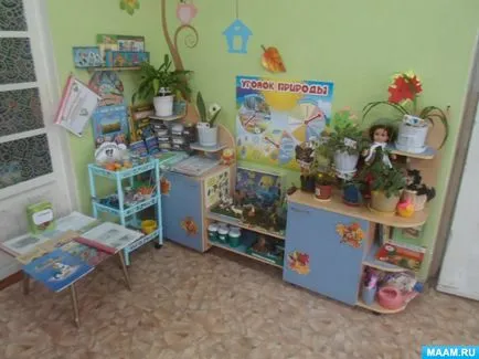 Оформлення куточка природи в середній групі