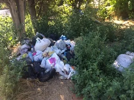 Одну з центральних площ Севастополя «віддали» під сміттєзвалище, forpost севастополь новини (forpost) Одну з центральних площ Севастополя «віддали» під сміттєзвалище, forpost севастополь новини