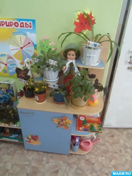 Оформлення куточка природи в середній групі