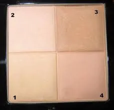 Опис, відгуки та відео про пудрі givenchy prisme visage mat (visage) Опис, відгуки та відео про пудрі givenchy prisme visage mat