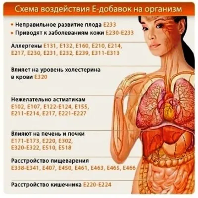 Опис і розшифровка харчових добавок (харчових) Опис і розшифровка харчових добавок