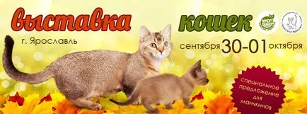Про клуб