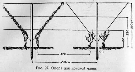 Опора для виноградних кущів
