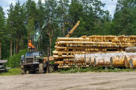опори Карелії