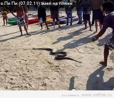 Небезпеки в Таїланді