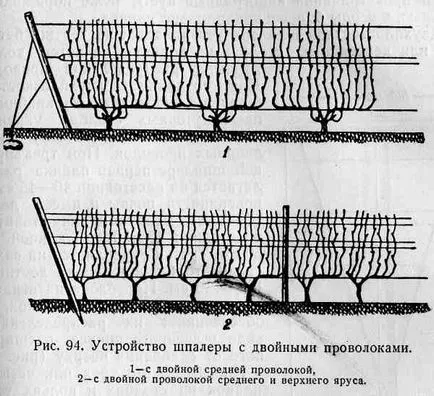 Опора для виноградних кущів