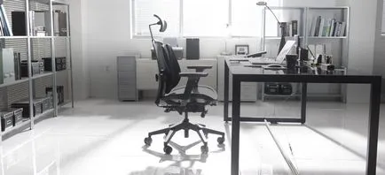Ортопедичні крісла для роботи за комп'ютером duorest (ортопедичне крісло duorest) Ортопедичні крісла для роботи за комп'ютером duorest