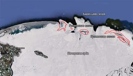 Острови, названі на честь кішок (честь) Острови, названі на честь кішок