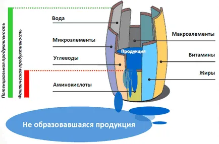 Основи природокористування - студопедія (лекція) Основи природокористування - студопедія