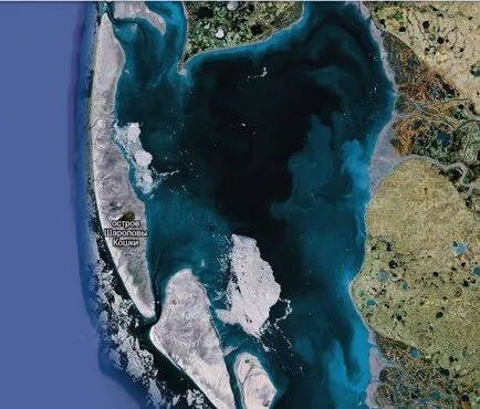Острови, названі на честь кішок (кішок) Острови, названі на честь кішок