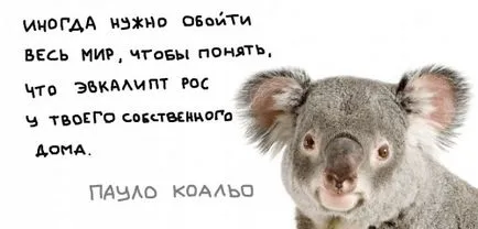 Відгуки про книгу алхімік
