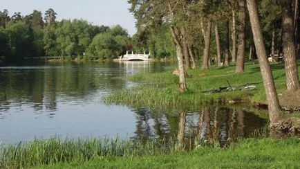 Відпочинок з дітьми дитяча залізниця в Кратово (Кратово) Відпочинок з дітьми дитяча залізниця в Кратово