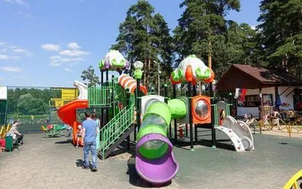 Відпочинок з дітьми дитяча залізниця в Кратово (дитяча) Відпочинок з дітьми дитяча залізниця в Кратово