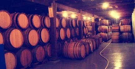 Paradox brewery - класифікація сортів пива (коценбург) Paradox brewery - класифікація сортів пива