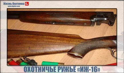 Мисливська рушниця іж-16