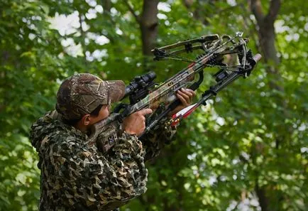 Полювання з арбалетом на кабана, лося, качку, зайця - вибір моделі і тактика стрільби (полювання) Полювання з арбалетом на кабана, лося, качку, зайця - вибір моделі і тактика стрільби