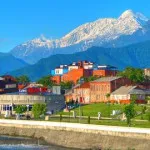 Пірамідальна тополя не тільки дерево півдня (пірамідальний) Пірамідальна тополя не тільки дерево півдня