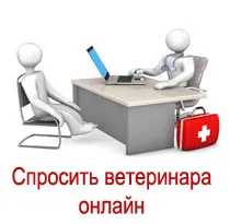 Перевезення тварин ветеринарний паспорт (тварин) Перевезення тварин ветеринарний паспорт