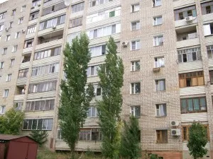 Пірамідальна тополя не тільки дерево півдня (дерево) Пірамідальна тополя не тільки дерево півдня