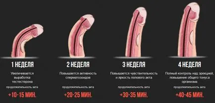 Перуанська маку розлучення чи ні, відгуки, ціна, інструкція із застосування (ціна) Перуанська маку розлучення чи ні, відгуки, ціна, інструкція із застосування