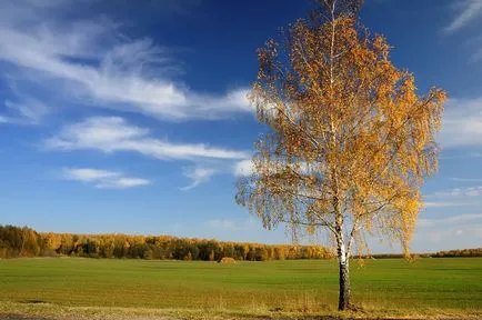 Переїзд в село, provillage - переїзд в село (використовувати землю селі) Переїзд в село, provillage - переїзд в село