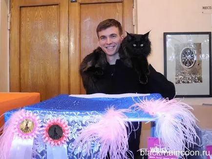 Перша виставка чорного мейн куна (мейн) Перша виставка чорного мейн куна
