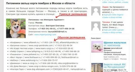 Розплідники чихуахуа - де купити цуценя вУкаіни, Україна, білорусі, «дай лапу» (розплідники чихуахуа) Розплідники чихуахуа - де купити цуценя вУкаіни, Україна, білорусі, «дай лапу»