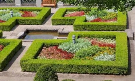 Планування дачної ділянки, варіанти планування дачної ділянки (дачного) Планування дачної ділянки, варіанти планування дачної ділянки