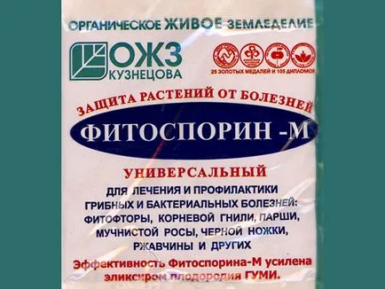Цвіль на розсаді - як позбутися від неї в домашніх умовах (умовах) Цвіль на розсаді - як позбутися від неї в домашніх умовах