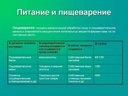 Харчування і травлення