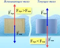 Чому не всі предмети тонуть (мистецтво) Чому не всі предмети тонуть