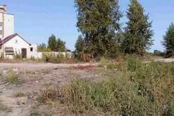 Чому гине риба новини Димитровград (Дімітровграда) Чому гине риба новини Дімітровграда