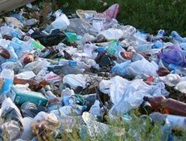 Чому ми вбиваємо природу, і як з цим боротися (вибирають собі місця) Чому ми вбиваємо природу, і як з цим боротися