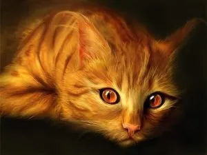 Чому кошеня так багато спить, наші кішки і собаки (кошеня) Чому кошеня так багато спить, наші кішки і собаки