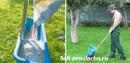 Підживлення газону - основні секрети (підгодівля газону) Підживлення газону - основні секрети