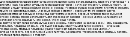 Чому у огірків один пустоцвіт