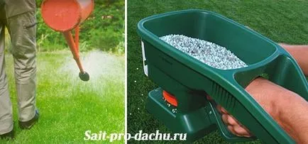 Підживлення газону - основні секрети (секрети) Підживлення газону - основні секрети