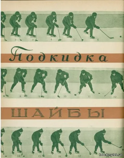 подкидка шайби